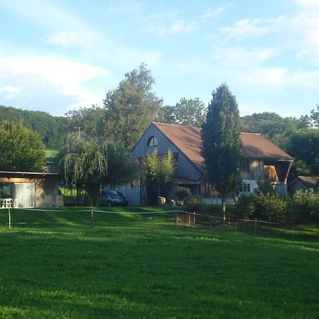 Bnb Pavillon Paisible Orsonnens Экстерьер фото